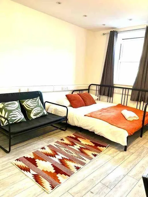 Spacious Studio Flat In Central Londyn
