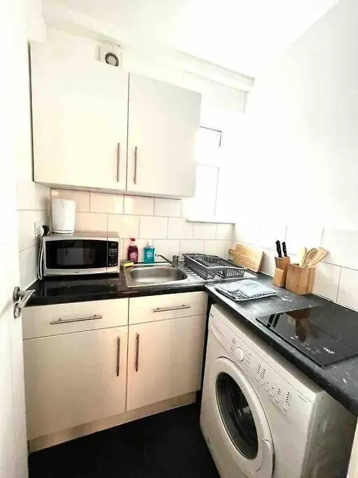 Apartament Spacious Studio Flat In Central Londyn