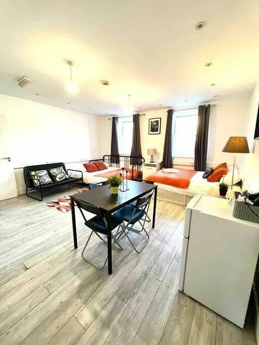 Spacious Studio Flat In Central Londyn Wielka Brytania