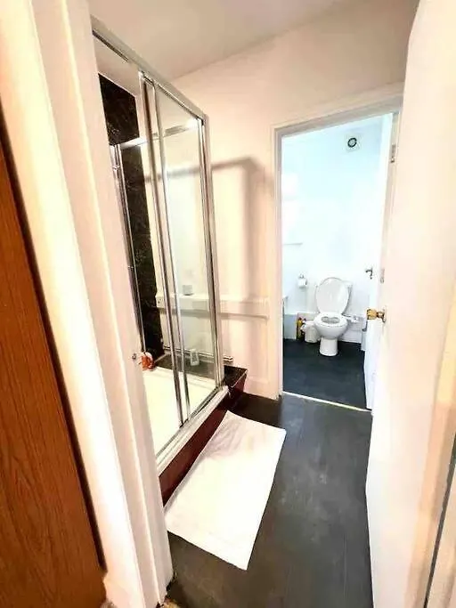 Spacious Studio Flat In Central Londyn 0*,